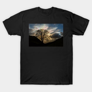 Sycamore Gap Silhouette T-Shirt